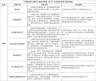計算機信息技術咨詢服務 從職業資格認證到行業實踐